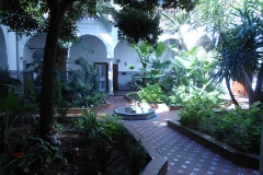 patio1